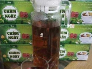 Trà Chùm ngây