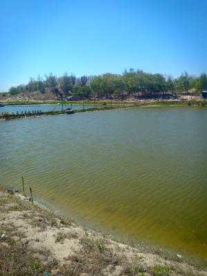 Bán gấp lô đất 10842m2 mặt tiền biển, Thị Xã La Gi, Bình Thuận, giá 10.842 tỷ
