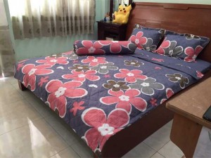 Ga nệm trải giường Cotton