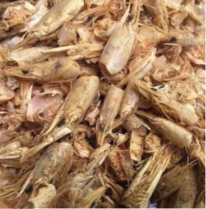 Đâu tôm nguyên liệu