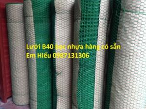 Sản xuẩt và cung cấp Lưới B40 mạ kẽm. B40 bọc nhựa chất lượng tốt