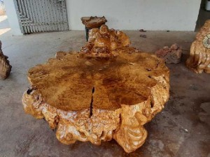 Bán bàn nu kháo cực đỉnh