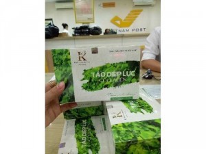 Tảo Diệp Lục Collagen
