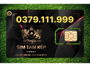 k dùng đến e bán sim tam hoa VIP Giá tốt