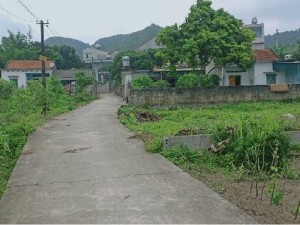 Cần bán đất Vân Đồn ,chợ Cái Rồng