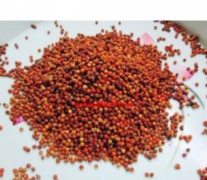 Hạt Tiêu Chín Đỏ (340k/kg)