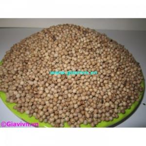 Hạt Tiêu Sọ Sạch Cao Cấp (340.000/Kg)