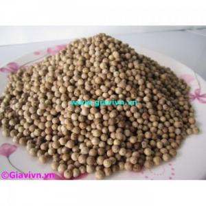 Hạt Tiêu Sọ Sạch Cao Cấp (340.000/Kg)