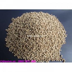 Hạt Tiêu Sọ Sạch Cao Cấp (340.000/Kg)
