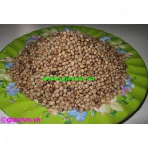 Hạt Tiêu Sọ Sạch Cao Cấp Phú Quốc (450.000/Kg)