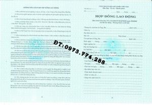 Hợp đồng lao động tiếng việt, Tiếng anh