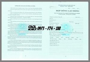 Hợp đồng lao động tiếng Việt, tiếng Anh - song ngữ