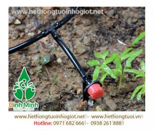 Hệ thống tưới nhỏ giọt tại Hà Nội
