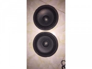 Cần bán loa BMB trung âm đường kinh 16cm