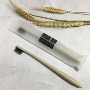Bàn chải lúa mạch giá rẻ