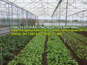 Nhà phân phối màng nhà kính Israel, cung cấp màng nhà kính 5 lớp Israel, đại lý màng Israel tại miền bắc