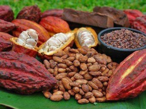1 ký bột ca cao nguyên chất