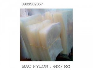 Bao NYLONG