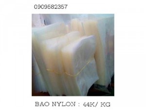 Bao NYLONG
