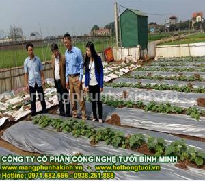 Bán màng phủ nông nghiệp tại hà nội, bán màng phủ nông nghiệp giá rẻ