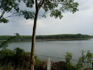 Bán Đất Cao Su Mặt Hồ Suối Rai Đồng Phú Bình Phước