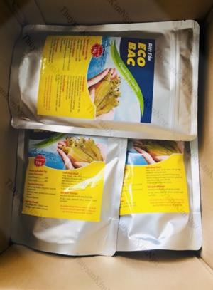 Cắt tảo Eco Bac