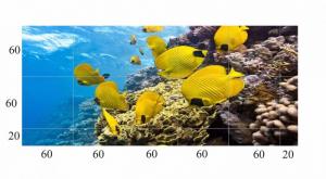 tranh gạch 3d đại dương thực tế