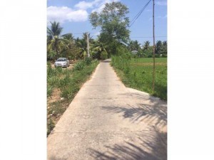 Nền thổ cư 4,3x26m ấp Long Hoà B,Đạo Thạnh,Mỹ Tho