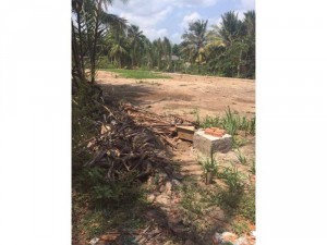 Nền thổ cư 4,3x26m ấp Long Hoà B,Đạo Thạnh,Mỹ Tho
