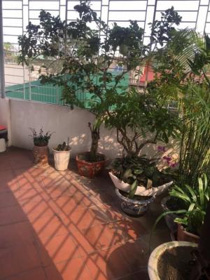 Bán nhà phố Tôn Thất Tùng - Đống Đa 45m, 4 tầng, giá nhỉnh 3 tỷ