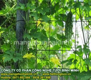 Lưới cước làm giàn leo cây dành cho nhà vườn