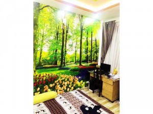 Chính chủ bán căn nhà Gò Vấp TPHCM