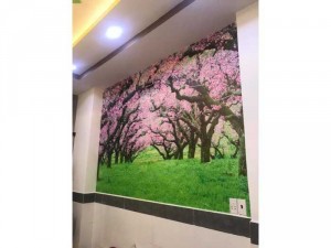 Chính chủ bán căn nhà Gò Vấp TPHCM