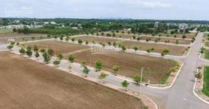 Bán đất nền Quốc Lộ 56 Xã Hòa Long- Thành Phố Bà Rịa