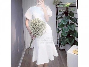 Đầm suông bèo lai ép ren hoa đính ngọc