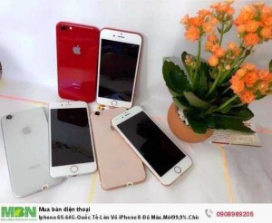 Iphone 6S-64G-Quốc Tế-Lên Vỏ iPhone 8-Đủ Màu. Mới99,9%. Chính hãng Apple