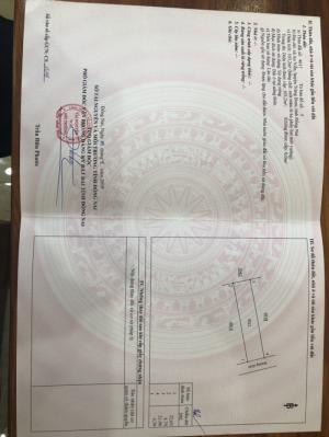 Mở bán dự án SHR thổ cư 100% ngân hàng hỗ trợ 60% hiếm có tại Đông Nai