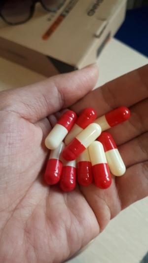 Vỏ nang đỏ - ngà