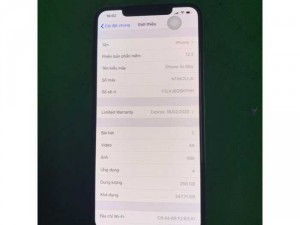 Phonexmax 256g