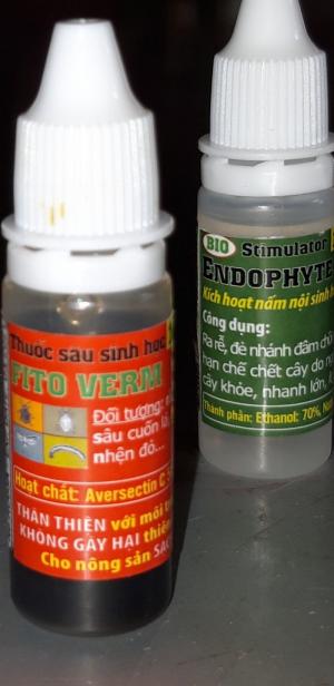 khi phun trừ rầy nâu không cần phối trộn với thuốc sâu khác vì FITO VERM hiệu quả cao và thời gian phòng trừ kéo dài