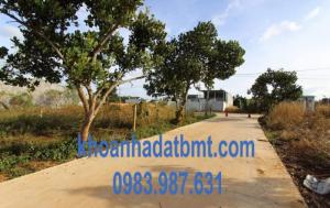 Đất hẻm 107 Đg Nguyễn Phúc Chu 5*20m-gần chợ,Kinh Doanh tốt,nhiều lô