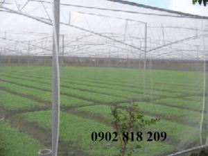 Lưới chắn côn trùng quây vườn rau sạch