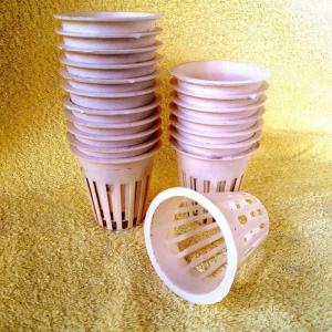 150 rọ trồng thủy canh