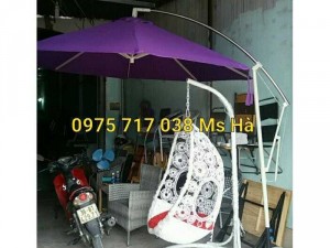 Dù cần câu ngoài trời giá rẻ
