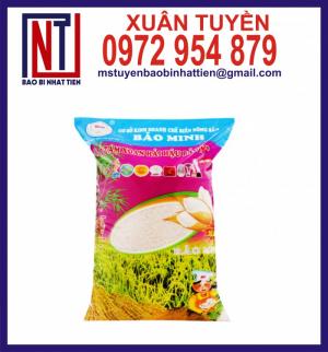 Túi đựng gạo 1kg, 2kg PA/PE