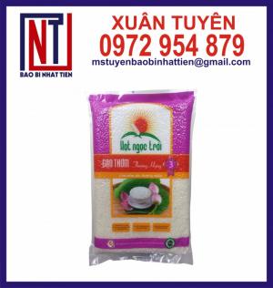 Túi đựng gạo 1kg, 2kg PA/PE