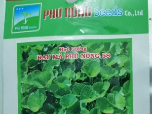 Hạt giống Rau Má