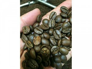 Bán cafe hạt rang xay nguyên chất