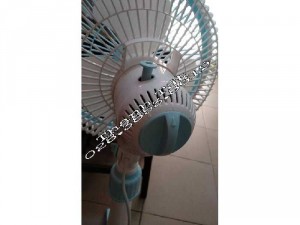 Quạt Điện Lở Đứng