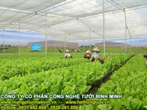 Lưới chắn côn trùng